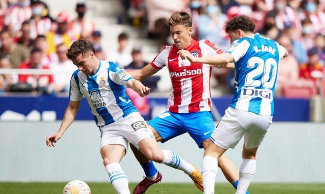 赛前形势分 赛前形势分